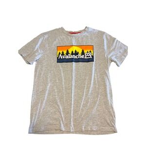 Avalanche Outdoor Supply Co Mens Medium Heather Gray Sunset Graphic T-Shirt